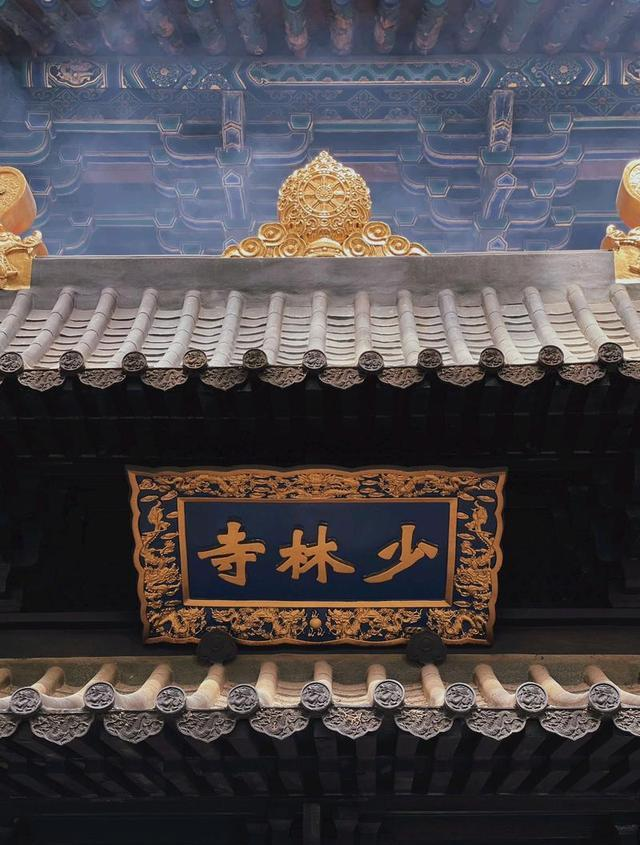 拔出萝卜带出泥歇后语__拨拔萝卜